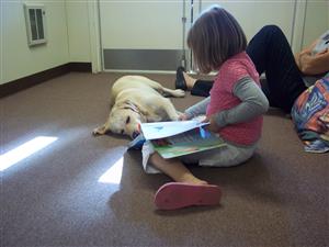Child reading to a dog 